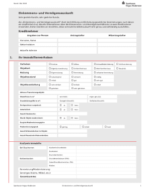 Income and Asset Disclosure Form