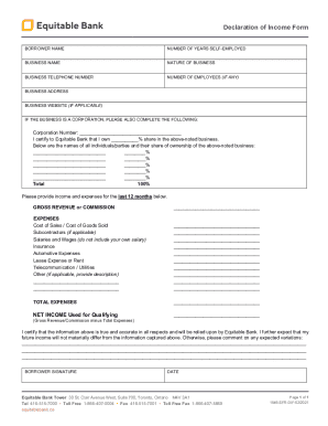 Declaration of Income Form