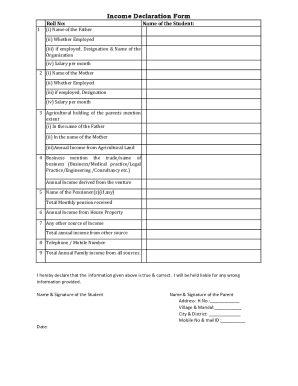 Income Declaration Form