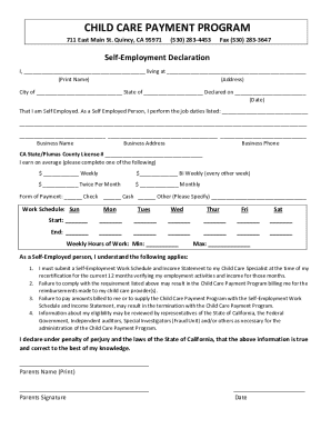 Self-Employment Declaration for Child Care Payment Program