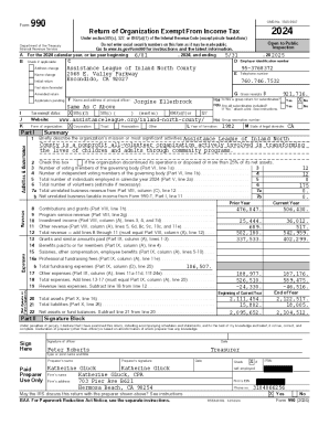 IRS Form 990 2024