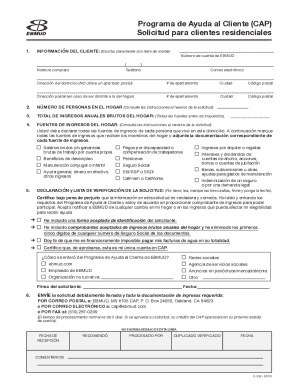 Customer Assistance Program Application