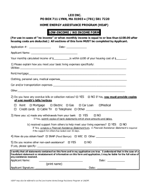 Low-Income No Income Form