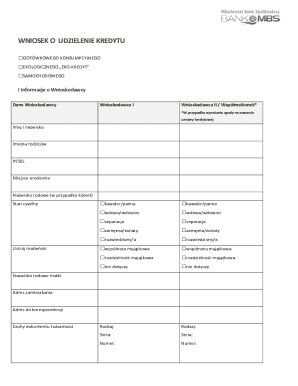 Loan Application Form