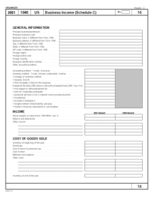 US Business Income Schedule C