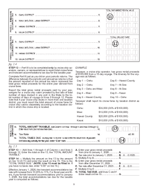 Hawaii Transient Accommodations Tax Annual Return