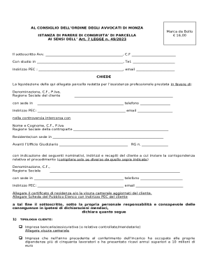 Italian Lawyer Fee Review Request