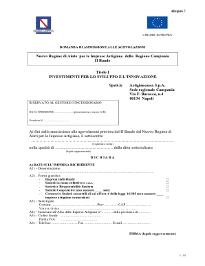 EU Artisan Business Grant Application Form