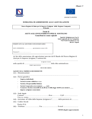 EU Artisan Business Grant Application Form