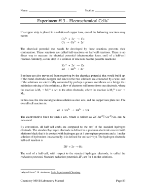 Electrochemical Cells Lab Report