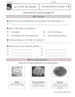 Le Chat de Tigali Reading Exercise