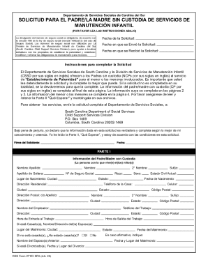 South Carolina Non-Custodial Parent Child Support Services Application