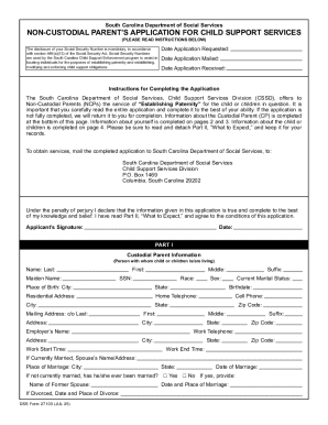 South Carolina Non-Custodial Parent Child Support Application