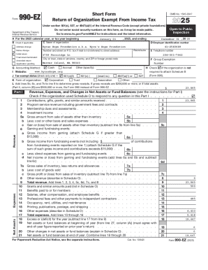 Form 990-EZ 2025