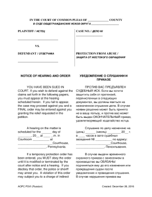 Protection from Abuse Order