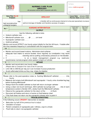 Urology Nursing Care Plan