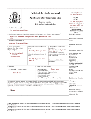 Spain Long-Term Visa Application Form