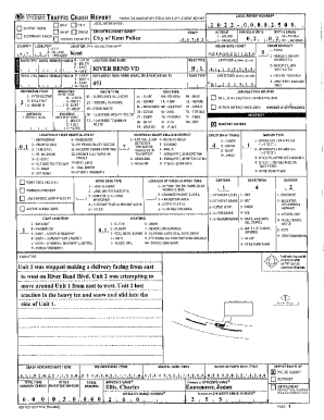 Police Crash Report Form