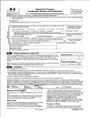 IRS Form W-9 Request for Taxpayer Identification Number and Certification