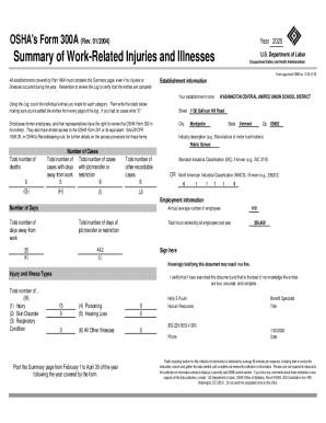 OSHA Form 300A Summary of Work-Related Injuries and Illnesses