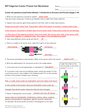 MIT Protein Set Worksheet