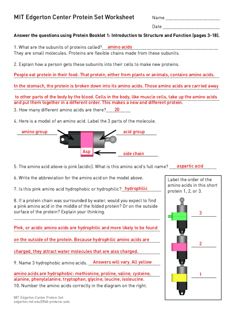 Protein Building Challenge Worksheet.pdf MIT Protein Set Worksheet - Blank Fillable Template | Fill Out, Print ...