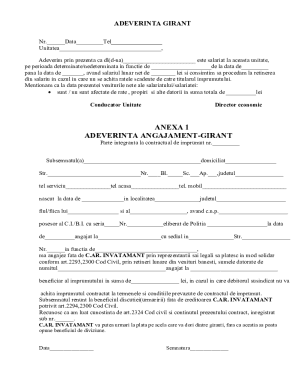 Romanian Loan Guarantor Statement