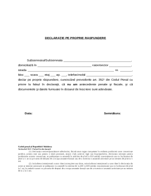 Self-Declaration of No Criminal Record