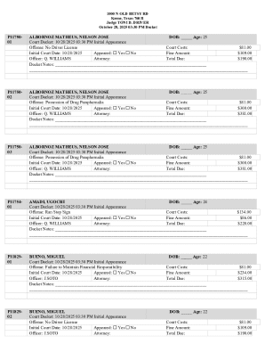 Texas Traffic Court Docket