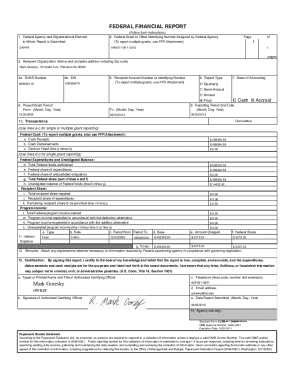 Federal Financial Report Form