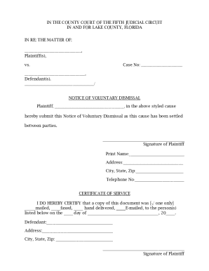 Florida Notice of Voluntary Dismissal