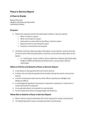 Michigan Place in Service Report