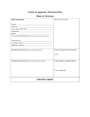 Arizona Court of Appeals Opening Brief