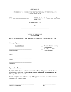 Criminal Court Appearance Form