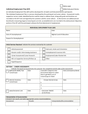 WIOA Individual Employment Plan