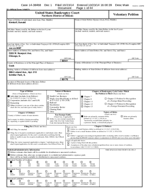 US Bankruptcy Voluntary Petition