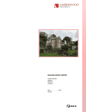 Building Survey Report Template