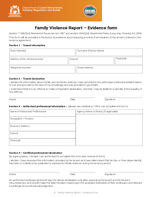Family Violence Report – Evidence Form