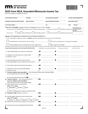 2025 M1X, Amended Income Tax Return