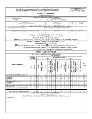 EEOC Standard Form 100 (SF 100) Employer Information Report