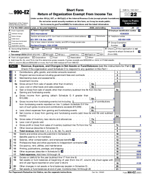 Form 990-EZ Tax Return