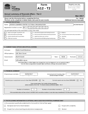 Annual Summary of Financial Affairs Tier 2 Form