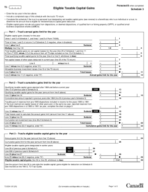 T3 Eligible Taxable Capital Gains Schedule 3