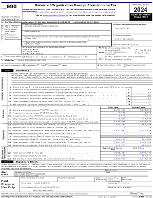 IRS Form 990 2024