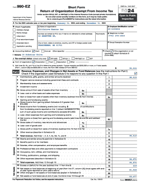 Form 990-EZ 2024
