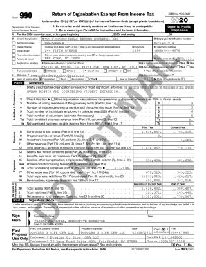 IRS Form 990 2020