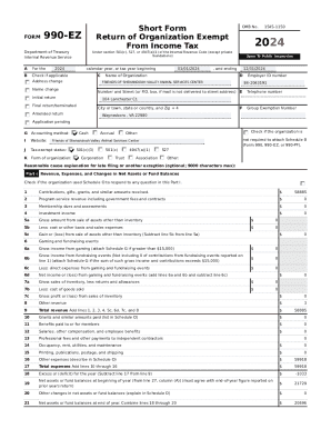 Form 990-EZ 2024