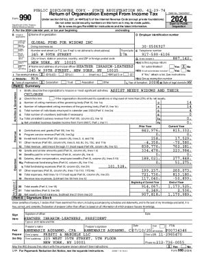 IRS Form 990 2024