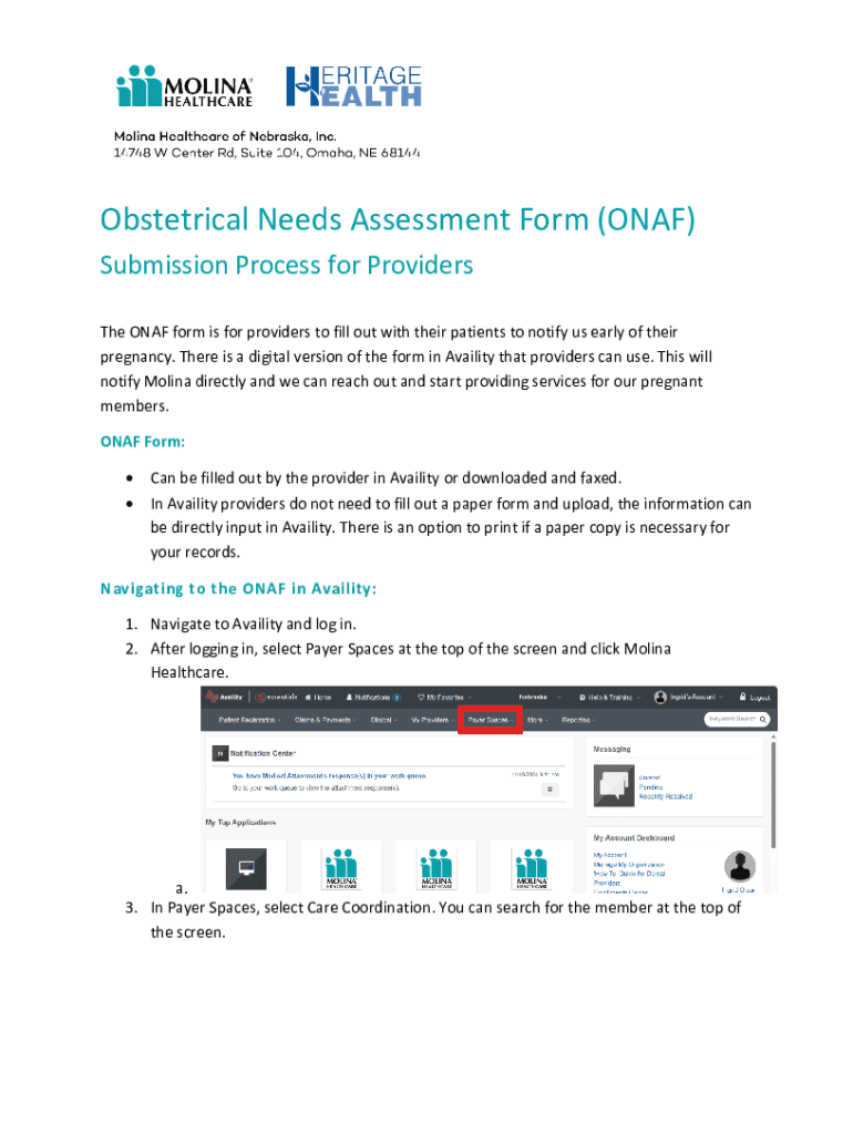 Obstetrical Needs Assessment Form - Blank Fillable Template | Fill Out ...