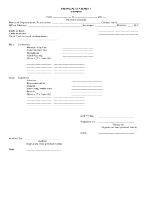 Financial Statement Form